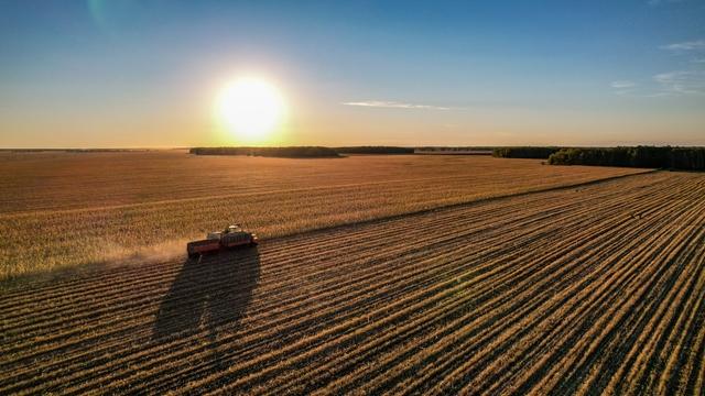 Фото Опубликовано 50 кадров с дрона видов Новосибирской области в День Сибири 33 - Сиб.ФМ Фото Опубликовано 50 кадров с дрона видов Новосибирской области в День Сибири 33