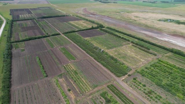 Фото Опубликовано 50 кадров с дрона видов Новосибирской области в День Сибири 35 - Сиб.ФМ Фото Опубликовано 50 кадров с дрона видов Новосибирской области в День Сибири 35