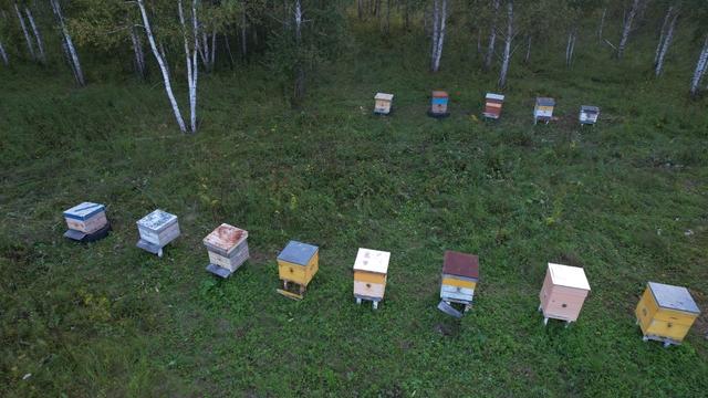 Фото Опубликовано 50 кадров с дрона видов Новосибирской области в День Сибири 38