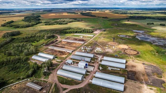 Фото Опубликовано 50 кадров с дрона видов Новосибирской области в День Сибири 47 - Сиб.ФМ Фото Опубликовано 50 кадров с дрона видов Новосибирской области в День Сибири 47