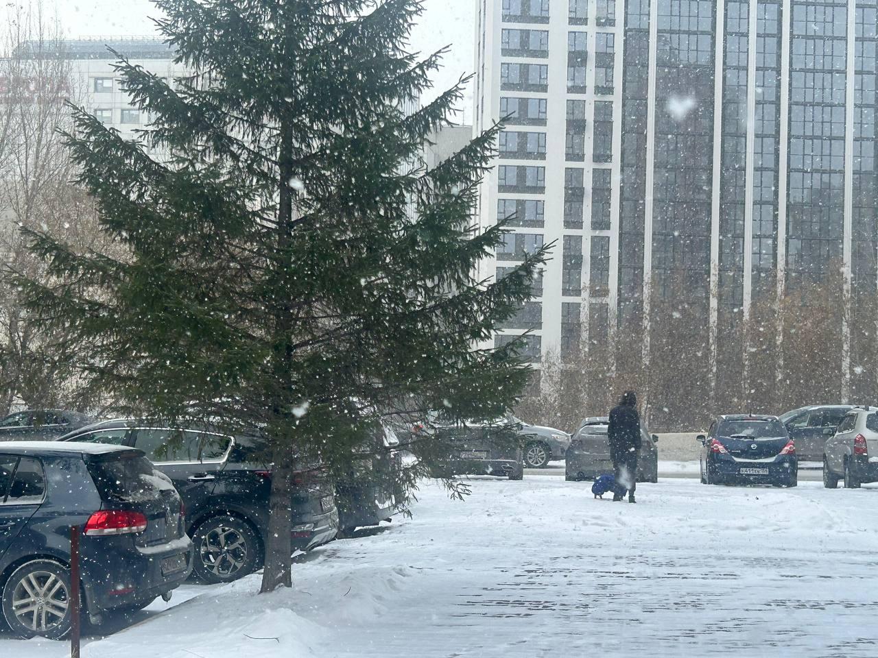 Фото На Новосибирск обрушилась метель 6 ноября 3 - Сиб.ФМ Фото На Новосибирск обрушилась метель 6 ноября 3