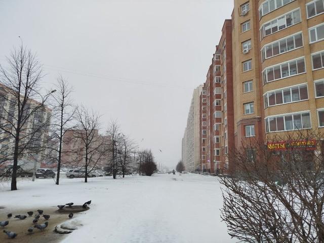 Фото Появились кадры мощной метели, накрывшей Новосибирск 8 ноября 6 - Сиб.ФМ Фото Появились кадры мощной метели, накрывшей Новосибирск 8 ноября 6