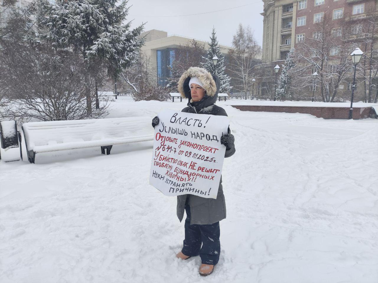 Фото В Новосибирске продолжаются протесты против закона об умерщвлении бездомных агрессивных животных: репортаж 4 - Сиб.ФМ Фото В Новосибирске продолжаются протесты против закона об умерщвлении бездомных агрессивных животных: репортаж 4