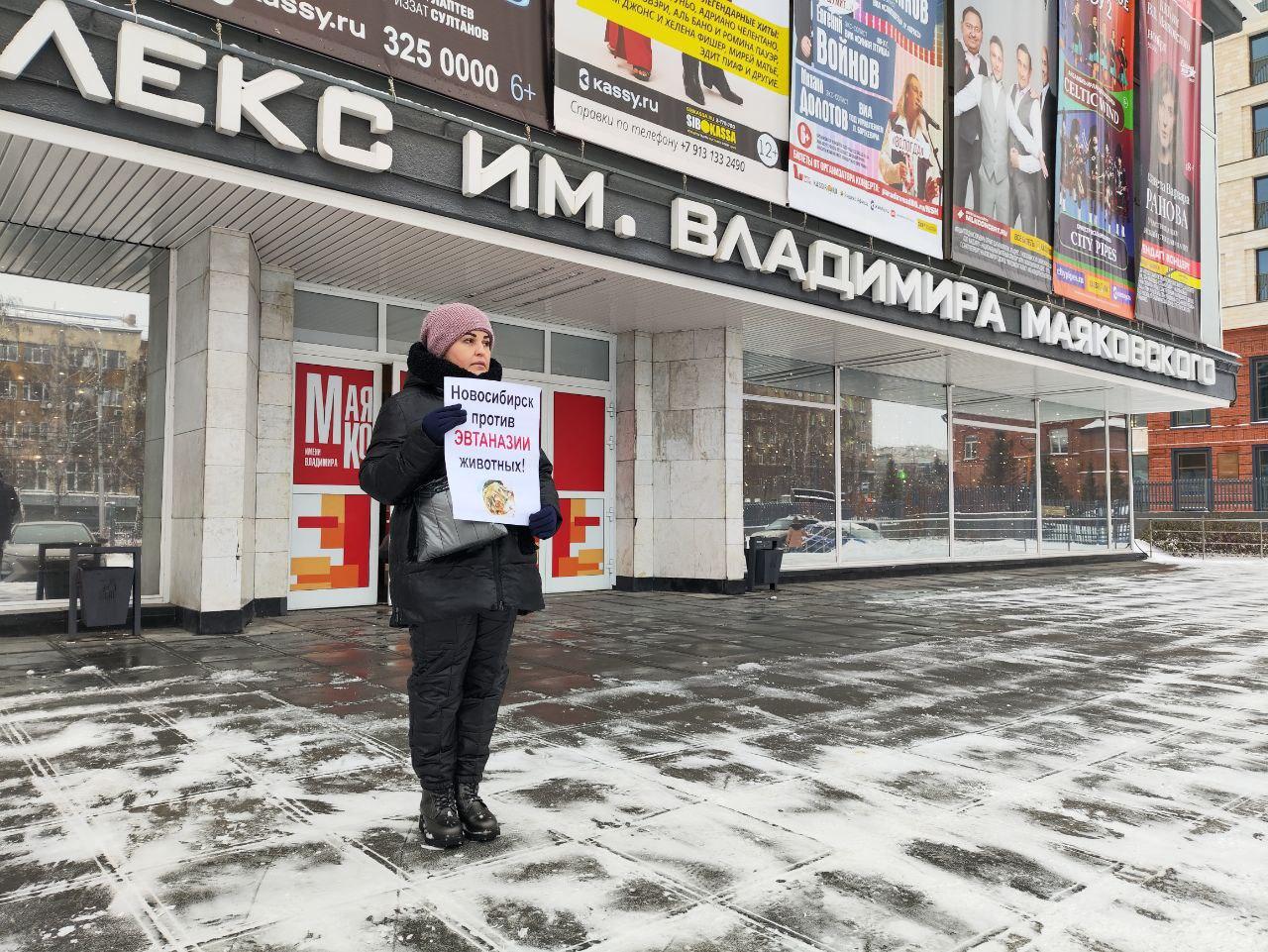 Фото В Новосибирске продолжаются протесты против закона об умерщвлении бездомных агрессивных животных: репортаж 2 - Сиб.ФМ Фото В Новосибирске продолжаются протесты против закона об умерщвлении бездомных агрессивных животных: репортаж 2