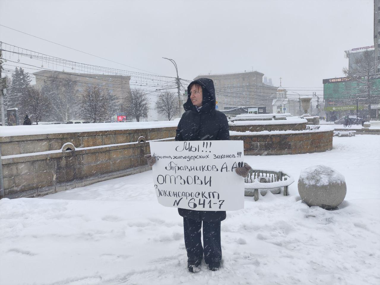 Фото В Новосибирске продолжаются протесты против закона об умерщвлении бездомных агрессивных животных: репортаж 3 - Сиб.ФМ Фото В Новосибирске продолжаются протесты против закона об умерщвлении бездомных агрессивных животных: репортаж 3