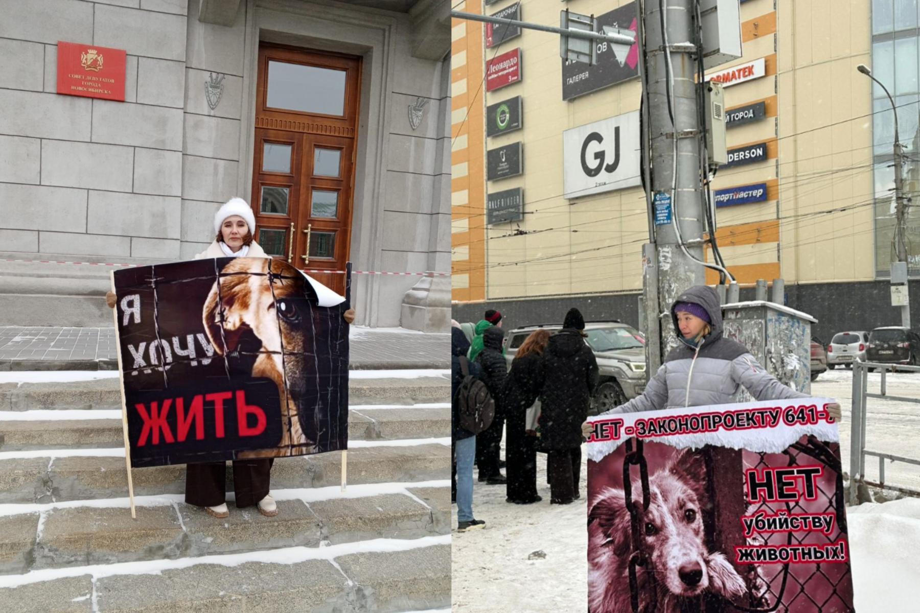 Фото В Новосибирской области прошли одиночные пикеты против эвтаназии бездомных животных 2 - Сиб.ФМ Фото В Новосибирской области прошли одиночные пикеты против эвтаназии бездомных животных 2