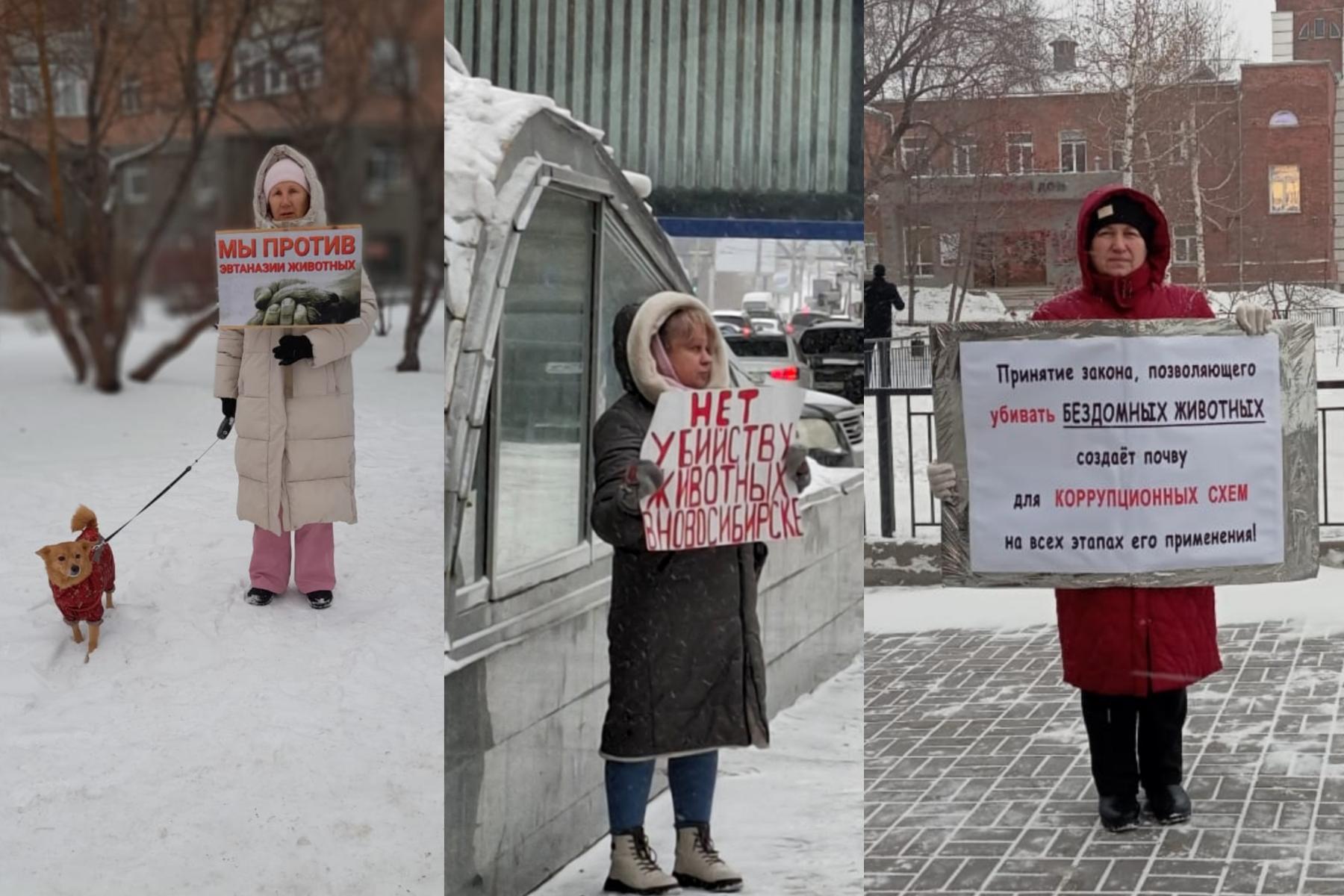 Фото В Новосибирской области прошли одиночные пикеты против эвтаназии бездомных животных 3 - Сиб.ФМ Фото В Новосибирской области прошли одиночные пикеты против эвтаназии бездомных животных 3