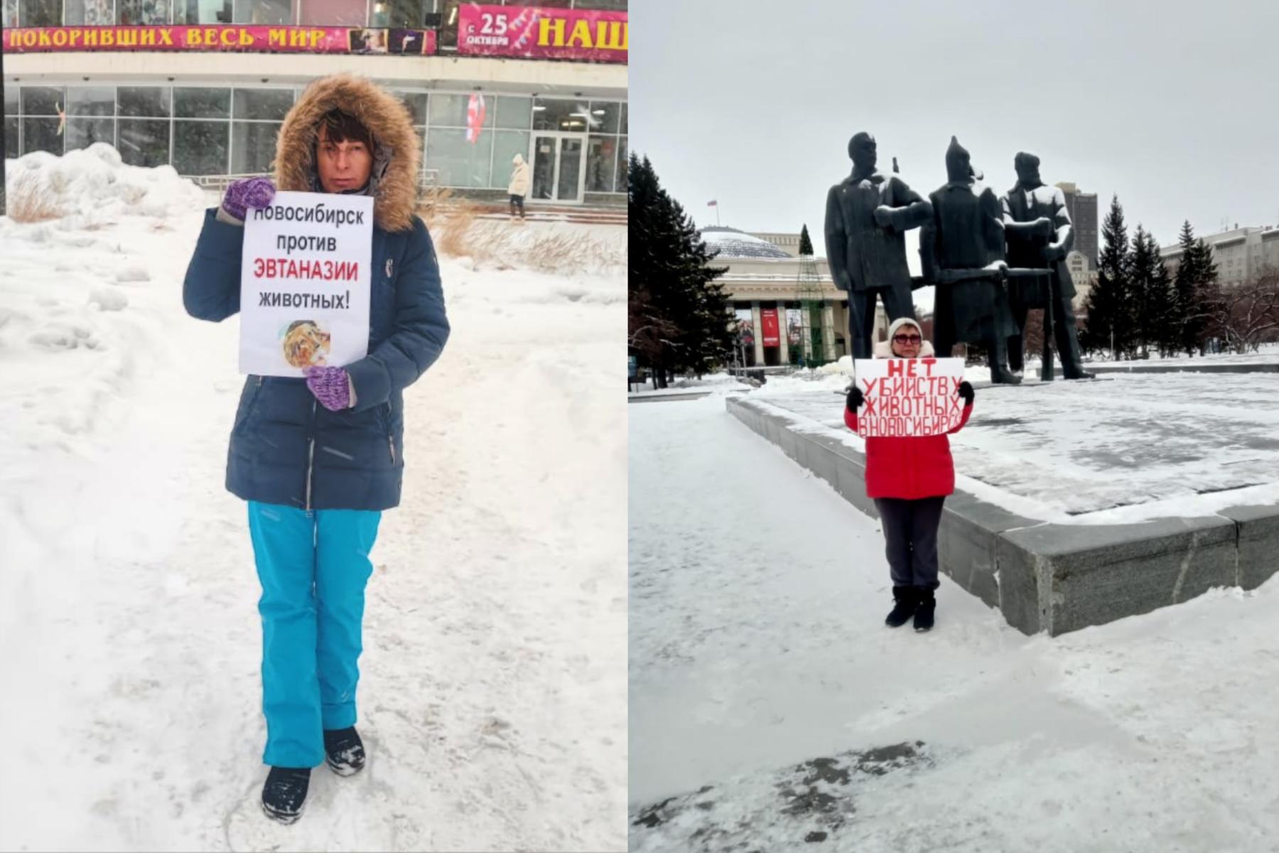 Фото В Новосибирской области прошли одиночные пикеты против эвтаназии бездомных животных 4 - Сиб.ФМ Фото В Новосибирской области прошли одиночные пикеты против эвтаназии бездомных животных 4