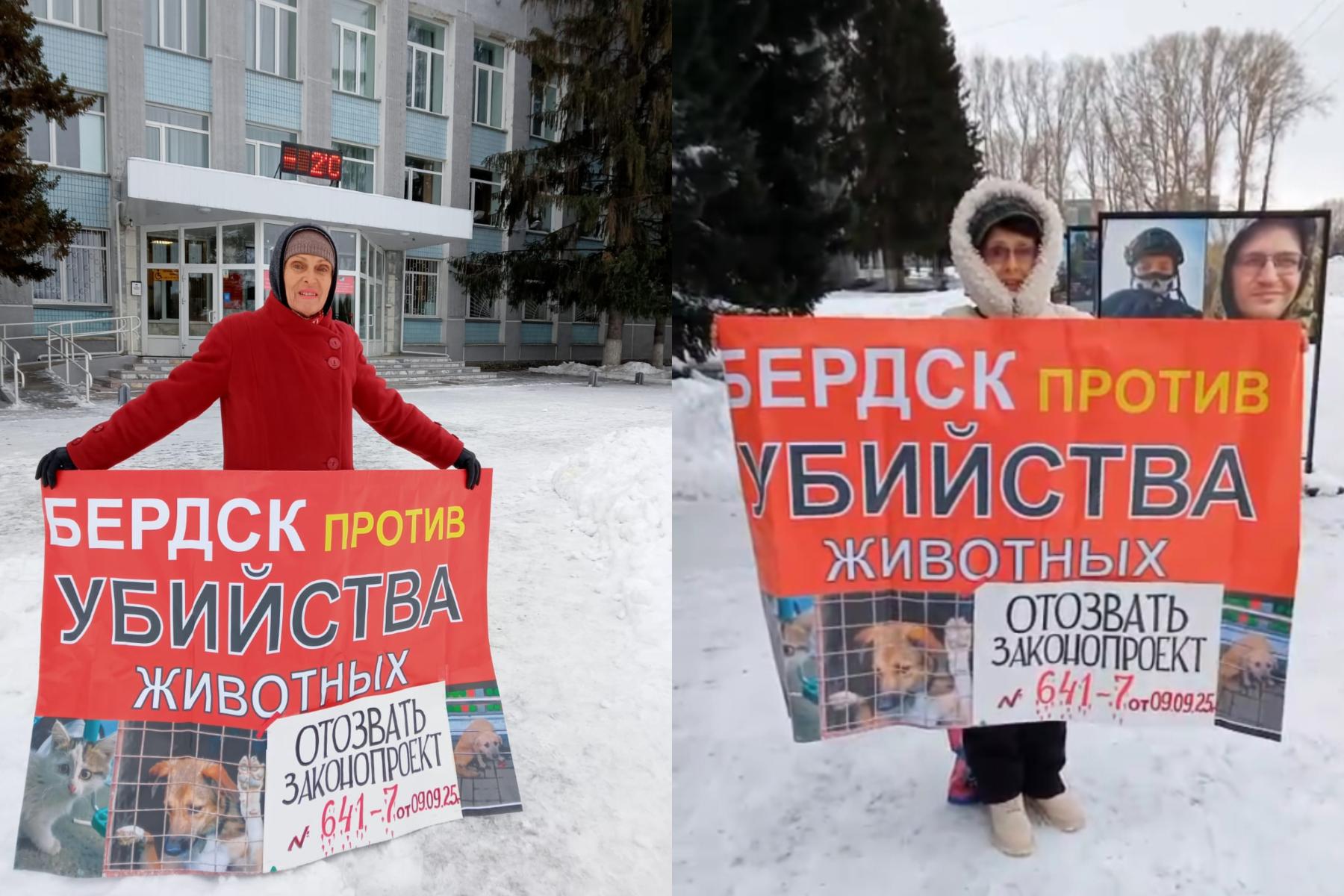 Фото В Новосибирской области прошли одиночные пикеты против эвтаназии бездомных животных 5 - Сиб.ФМ Фото В Новосибирской области прошли одиночные пикеты против эвтаназии бездомных животных 5