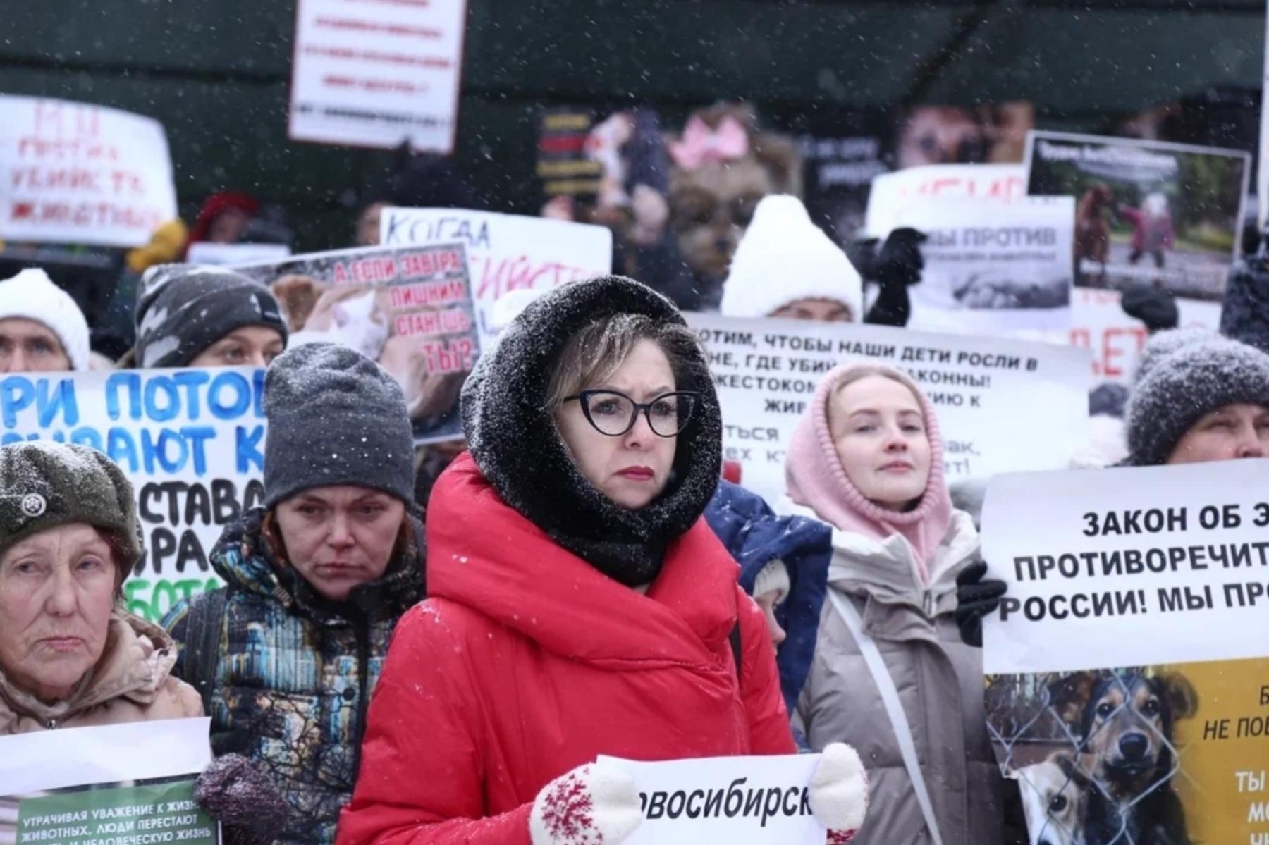 Фото Трëхлапая дворняга пришла на митинг против умерщвления бездомных собак в Новосибирске 18