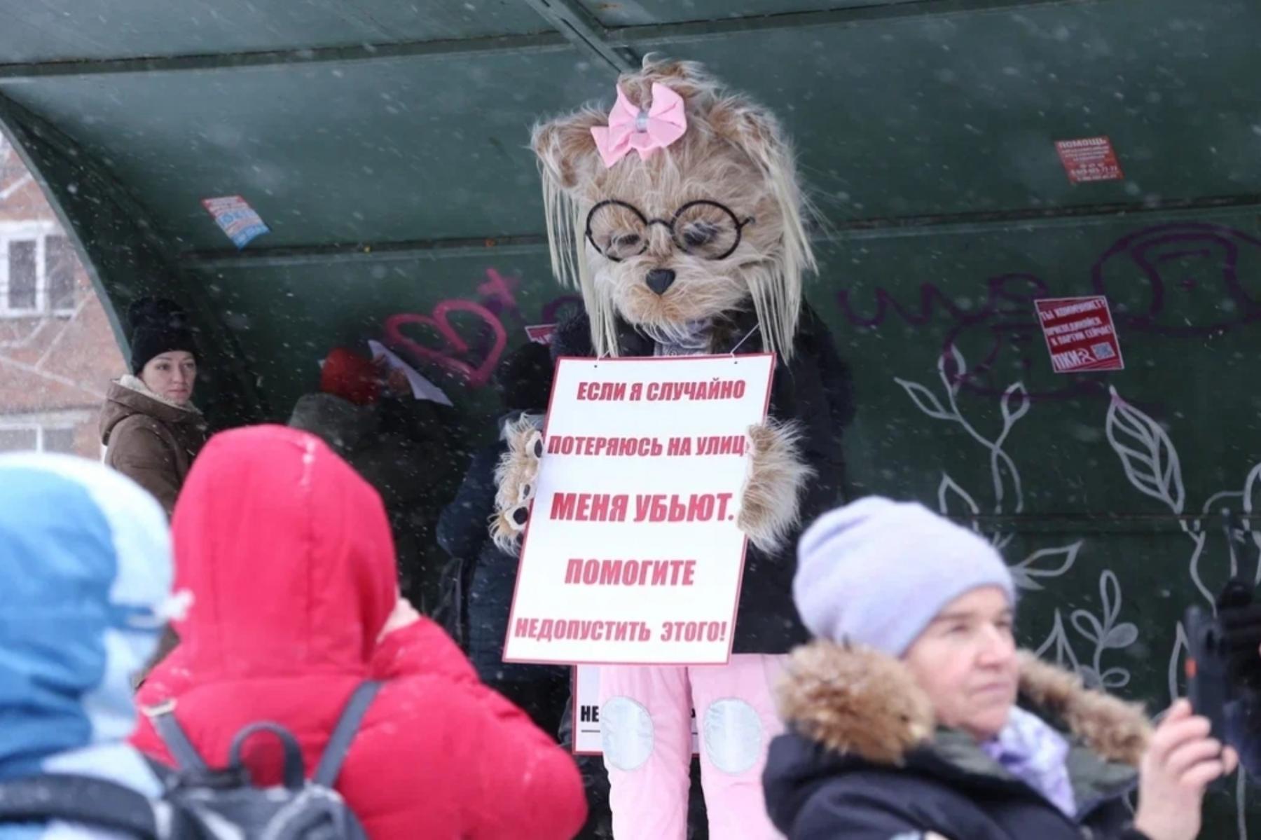 Фото Трëхлапая дворняга пришла на митинг против умерщвления бездомных собак в Новосибирске 14