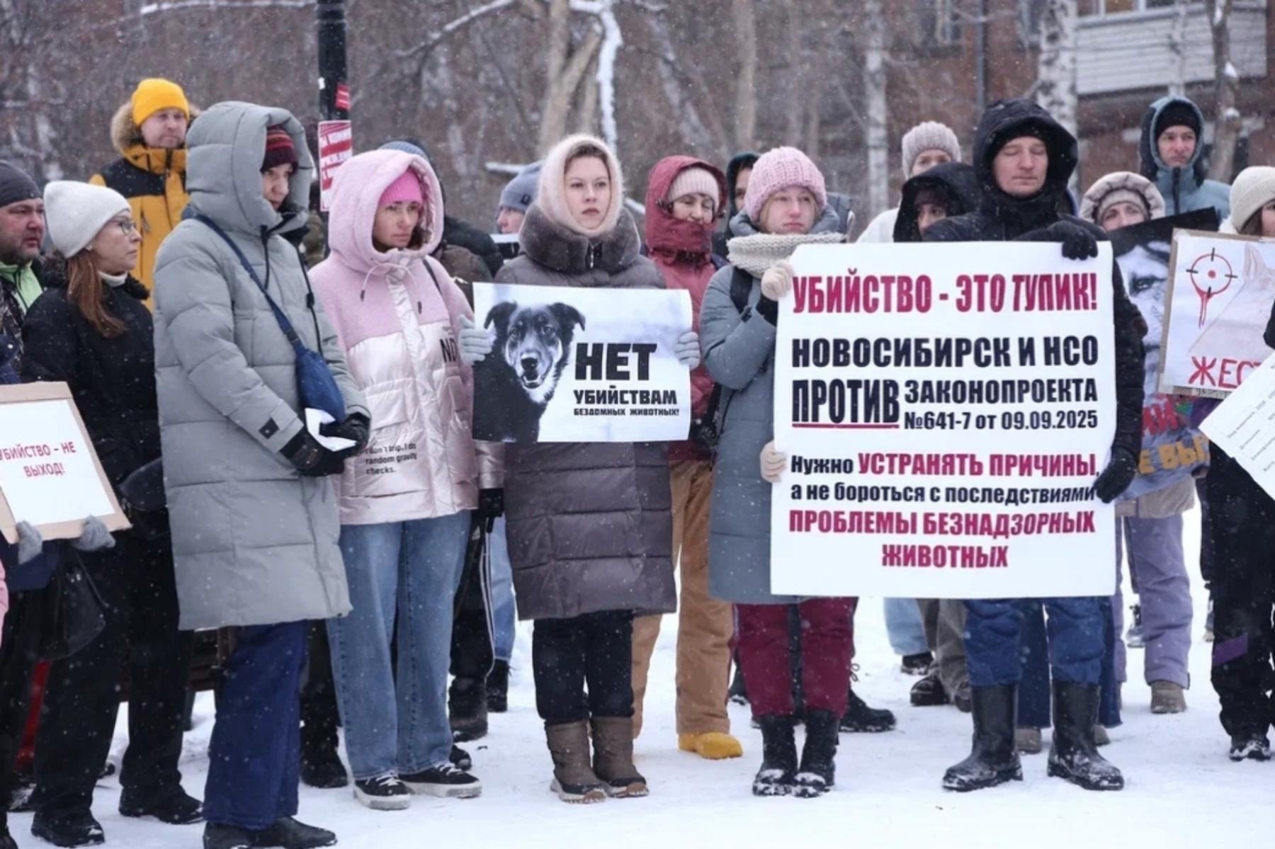 Фото Трëхлапая дворняга пришла на митинг против умерщвления бездомных собак в Новосибирске 2