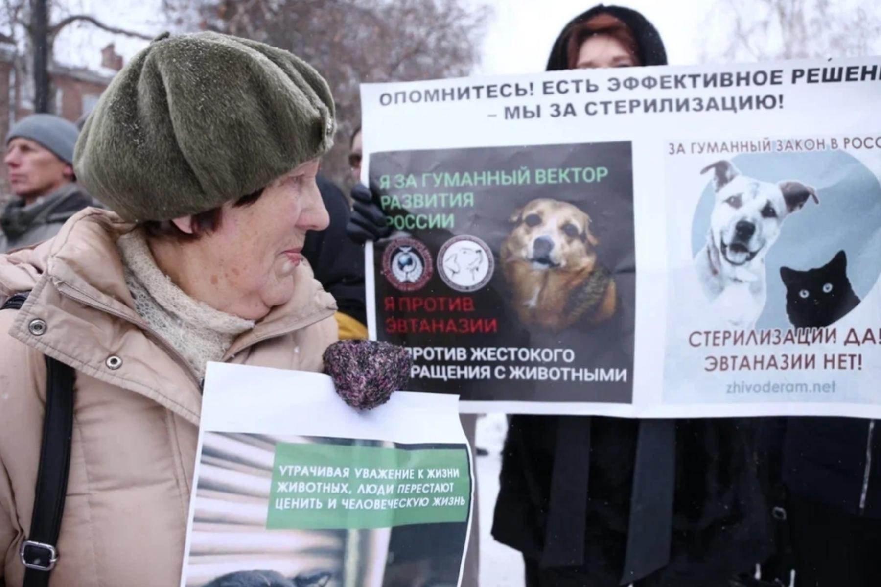 Фото Трëхлапая дворняга пришла на митинг против умерщвления бездомных собак в Новосибирске 3