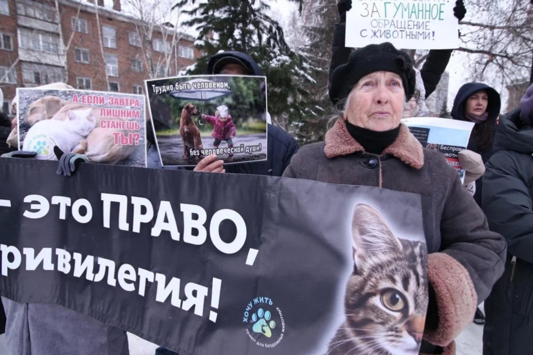 Фото Трëхлапая дворняга пришла на митинг против умерщвления бездомных собак в Новосибирске 5