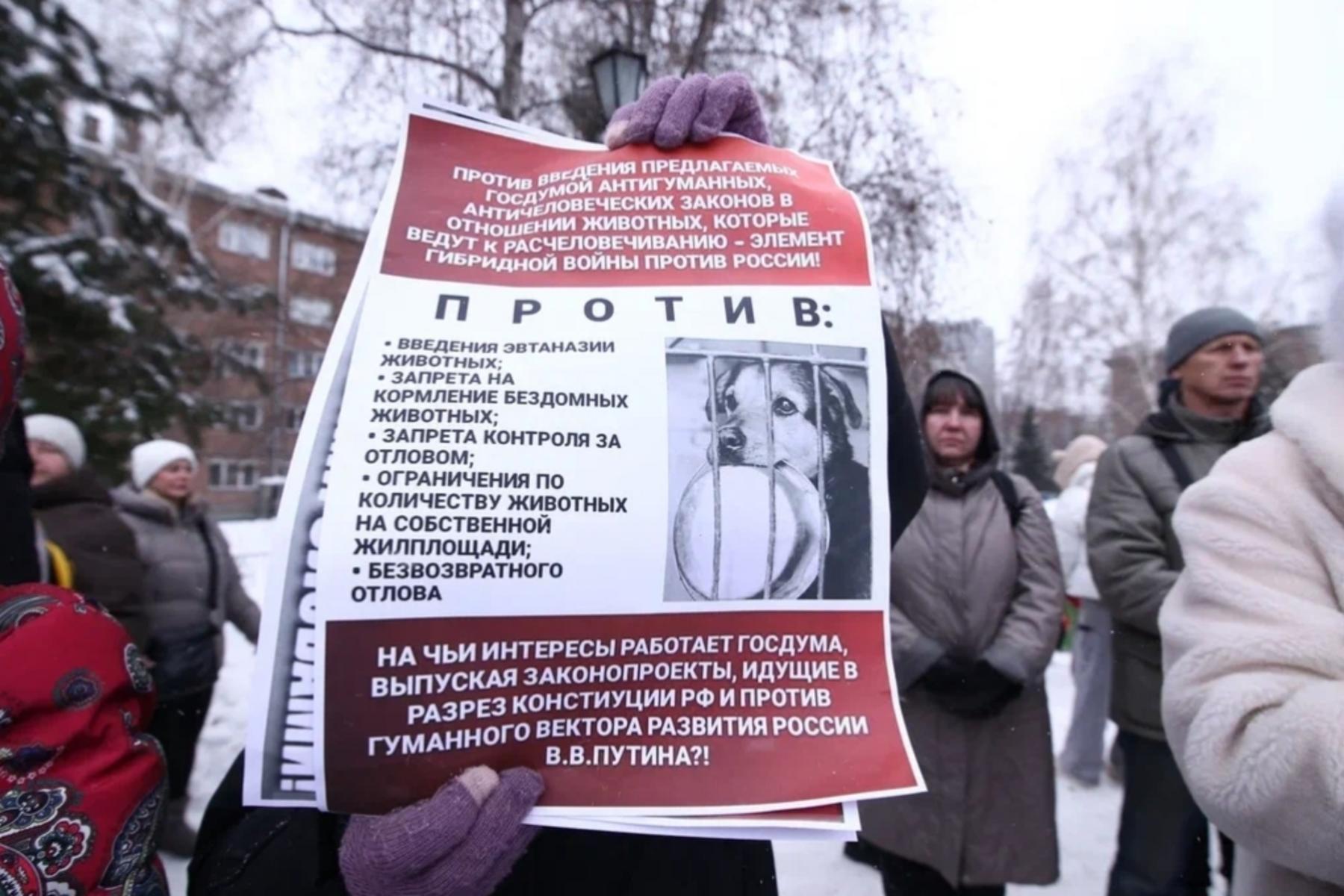 Фото Трëхлапая дворняга пришла на митинг против умерщвления бездомных собак в Новосибирске 4