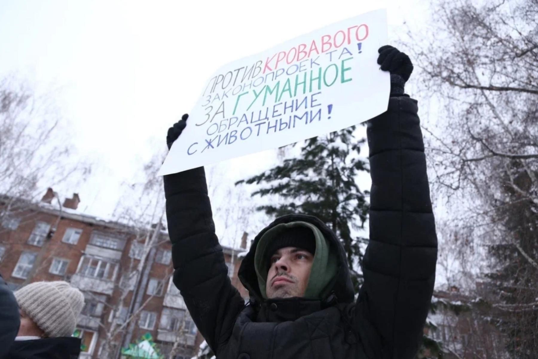 Фото Трëхлапая дворняга пришла на митинг против умерщвления бездомных собак в Новосибирске 6