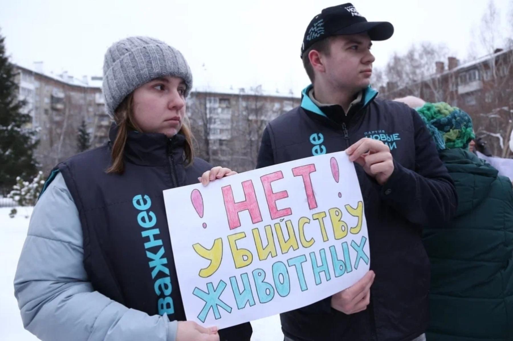 Фото Трëхлапая дворняга пришла на митинг против умерщвления бездомных собак в Новосибирске 11