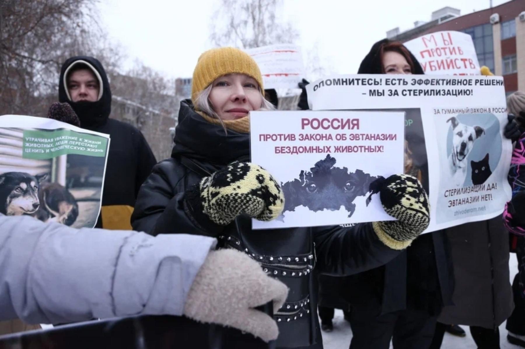 Фото Трëхлапая дворняга пришла на митинг против умерщвления бездомных собак в Новосибирске 8
