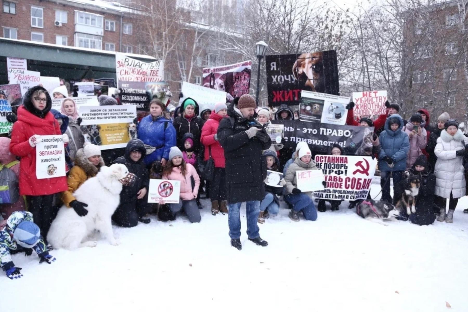 Фото Трëхлапая дворняга пришла на митинг против умерщвления бездомных собак в Новосибирске 17