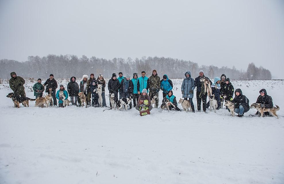 Фото В Новосибирске «Новые люди» анонсировали программу помощи приютам для животных 3 - Сиб.ФМ Фото В Новосибирске «Новые люди» анонсировали программу помощи приютам для животных 3