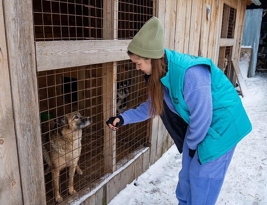 Фото «Дари тепло»: Новые люди и фонд Экосфера помогли приюту подготовиться к зиме 2