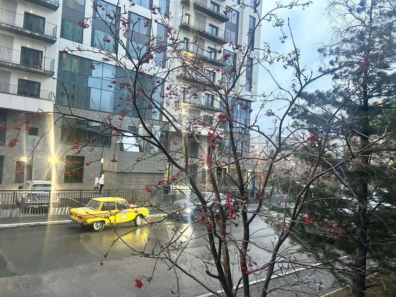 Фото Опубликованы кадры сильнейшего урагана в Новосибирске 4 - Сиб.ФМ Фото Опубликованы кадры сильнейшего урагана в Новосибирске 4