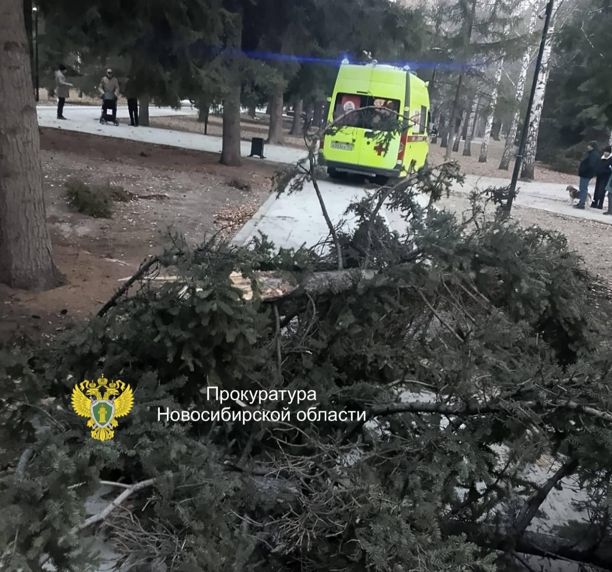 Фото «Унесло балкон, смяло авто»: опубликованы кадры последствий урагана в Новосибирске — фото 6 - Сиб.ФМ Фото «Унесло балкон, смяло авто»: опубликованы кадры последствий урагана в Новосибирске — фото 6