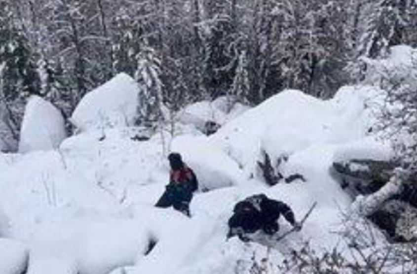 Фото ДТП с ребенком, пропавшая семья и незаконные премии: главное в Новосибирске за 13 ноября 3
