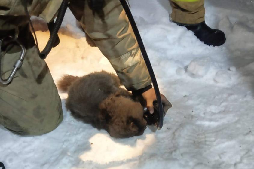 Фото Смертельное ДТП, убийство при знакомстве и пожар в селе: главное в Новосибирске за 14 ноября 2 - Сиб.ФМ Фото Смертельное ДТП, убийство при знакомстве и пожар в селе: главное в Новосибирске за 14 ноября 2