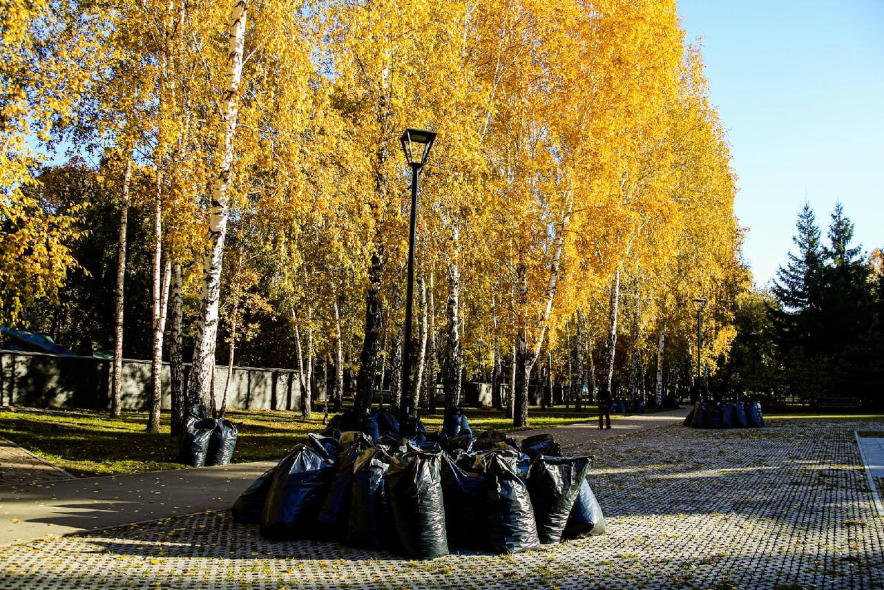 Фото КамАЗ мусора вывезли с общегородского субботника в Новосибирске 3