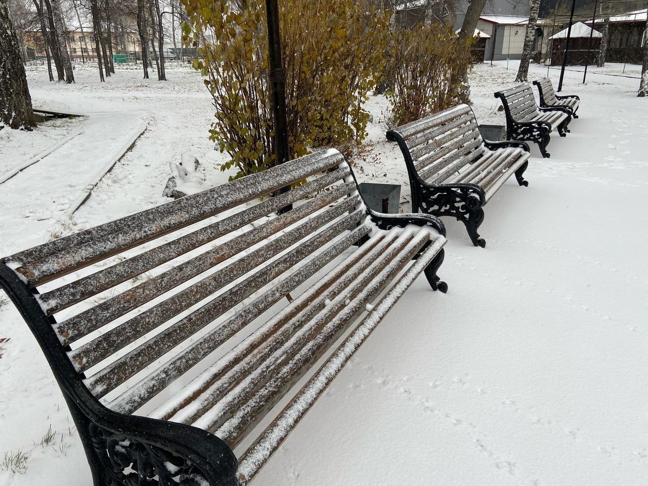 Фото Новосибирск завалило снегом 31 октября: десять лучших кадров зимнего города 3