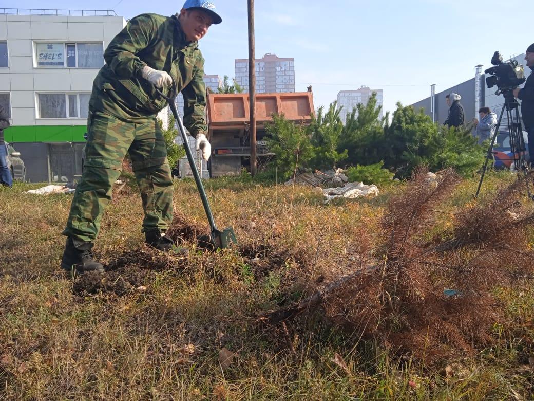 Фото Более 30 новосибирцев посадили своё дерево в сквере «Зелёный остров» 2