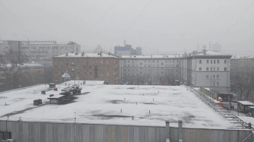 Фото Новосибирцы слепили первых снеговиков после снегопада 30 октября 3