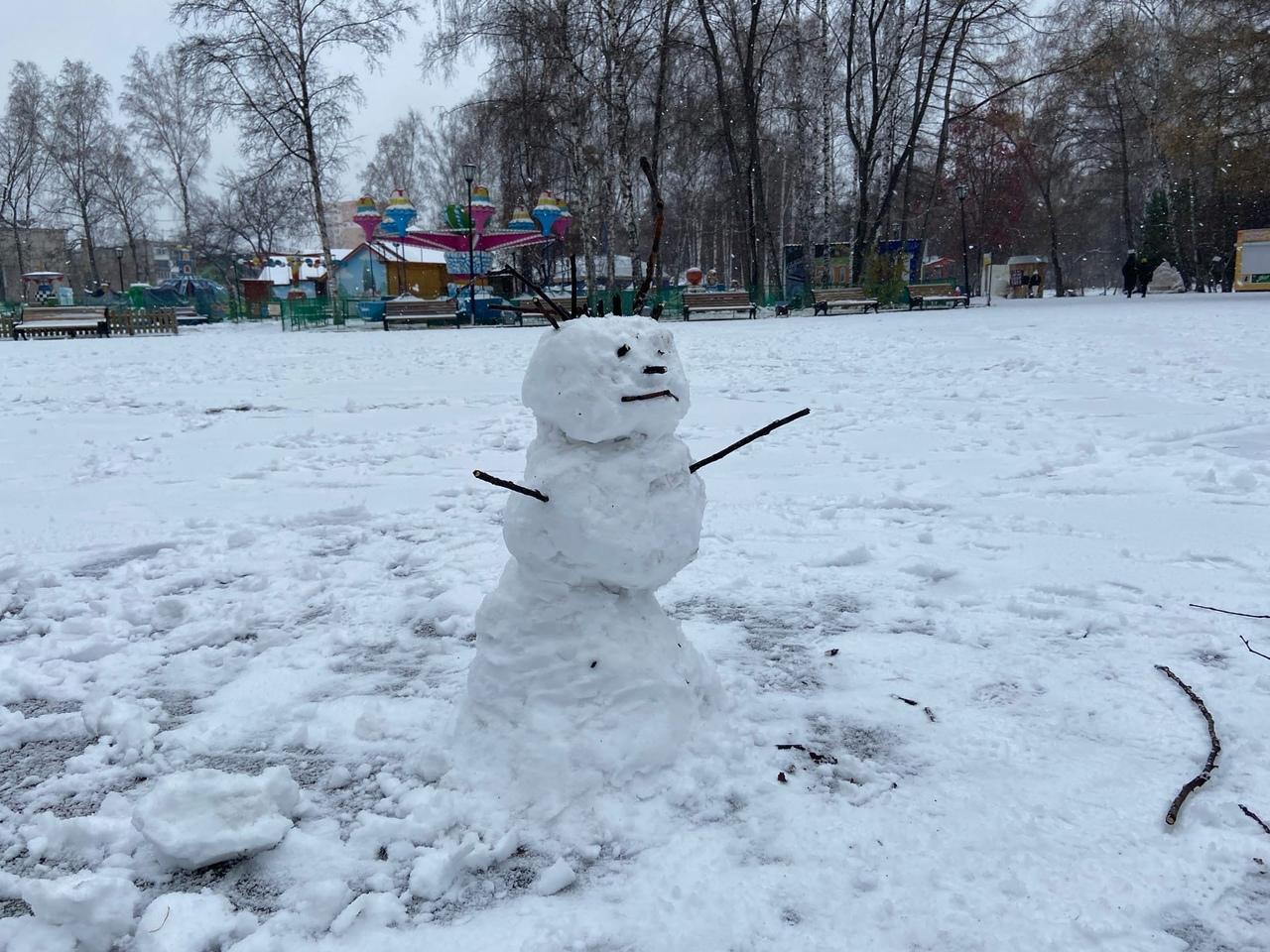 Фото Новосибирск завалило снегом 31 октября: десять лучших кадров зимнего города 5