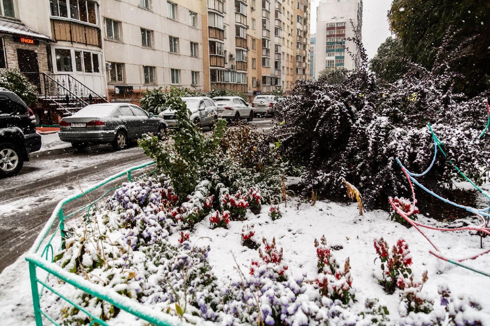 Фото Снегопад в Новосибирске ожидается с 1 ноября 2022 года 3