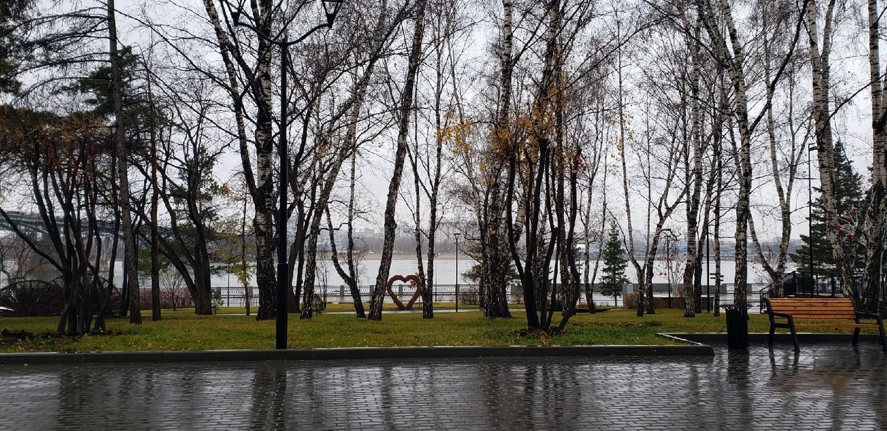 Фото На Михайловской набережной Новосибирска зальют самый длинный в России каток 3