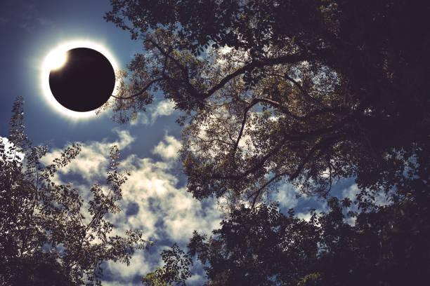 Фото Солнечное затмение 25 октября 2022: где и во сколько смотреть 5