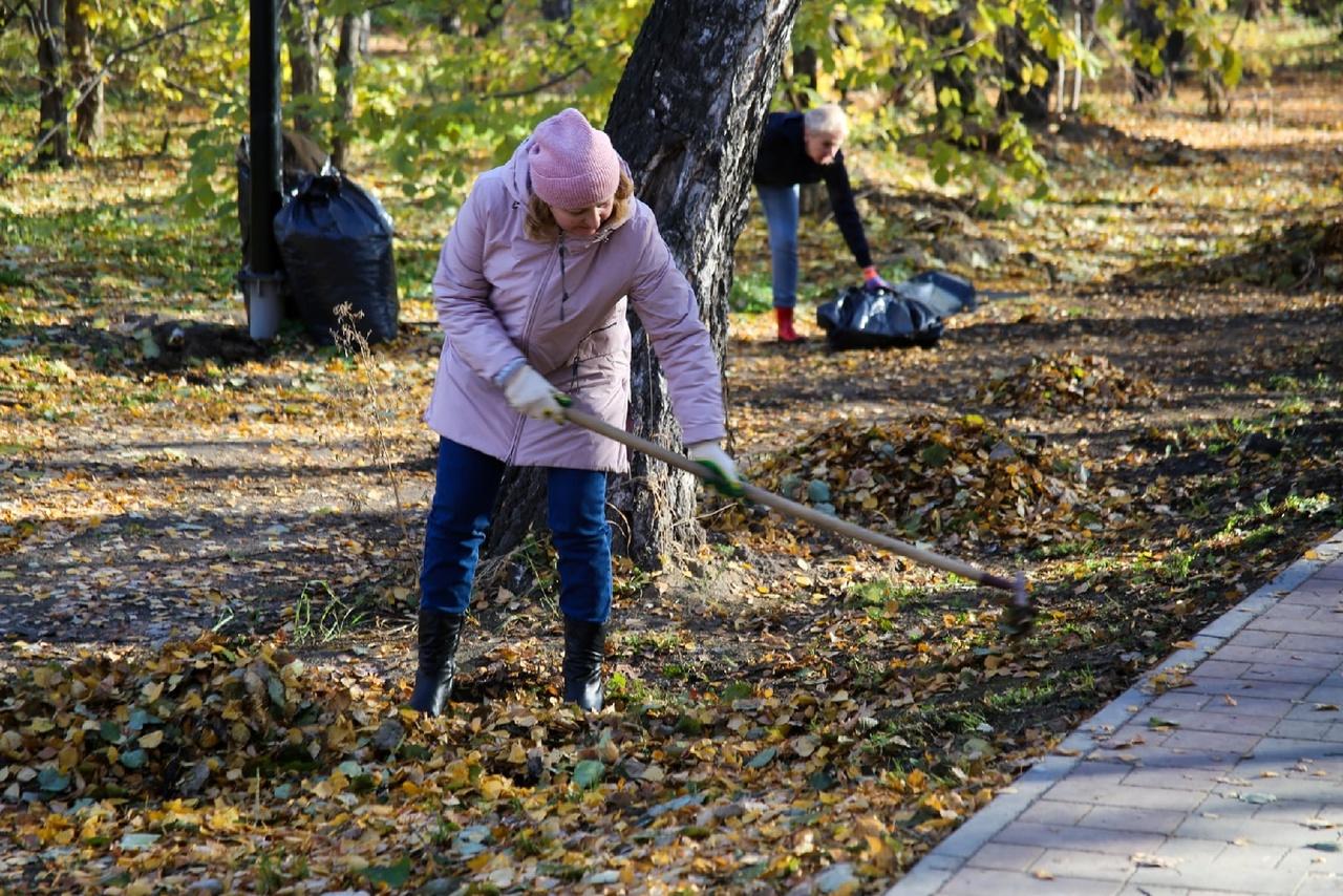 Фото Мэр Новосибирска Локоть принял участие в общегородском субботнике 15 октября 7