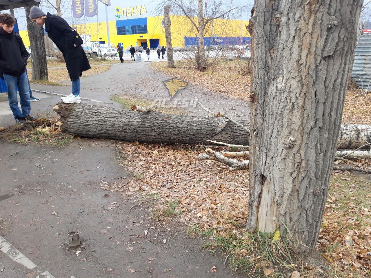Фото Жители Новосибирска показали разрушения, нанесенные ураганным ветром 23 октября 9