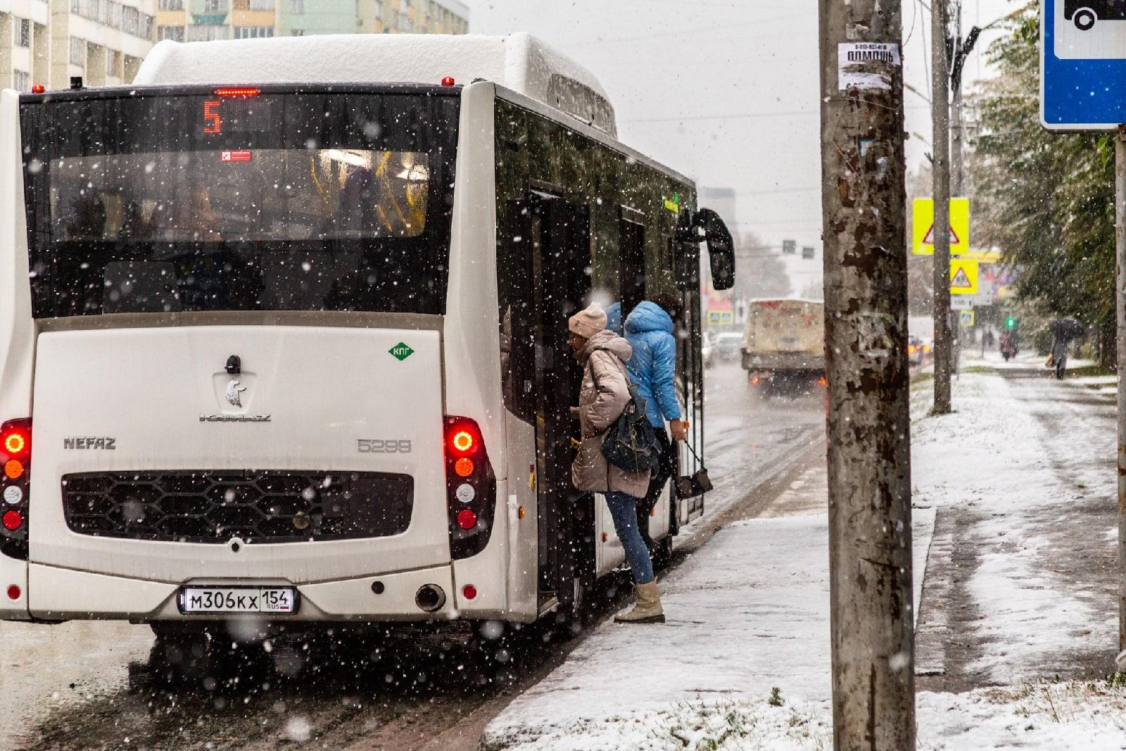 Фото Снегопад в Новосибирске ожидается с 1 ноября 2022 года 4