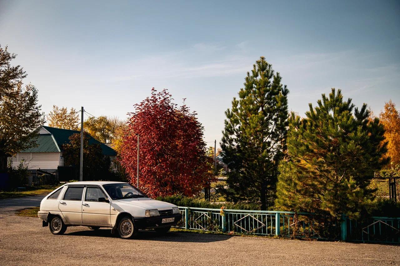 Фото Дом, в котором убил Кужилов. Как живёт новосибирский посёлок после освобождения насильника 8-летней девочки — репортаж 32