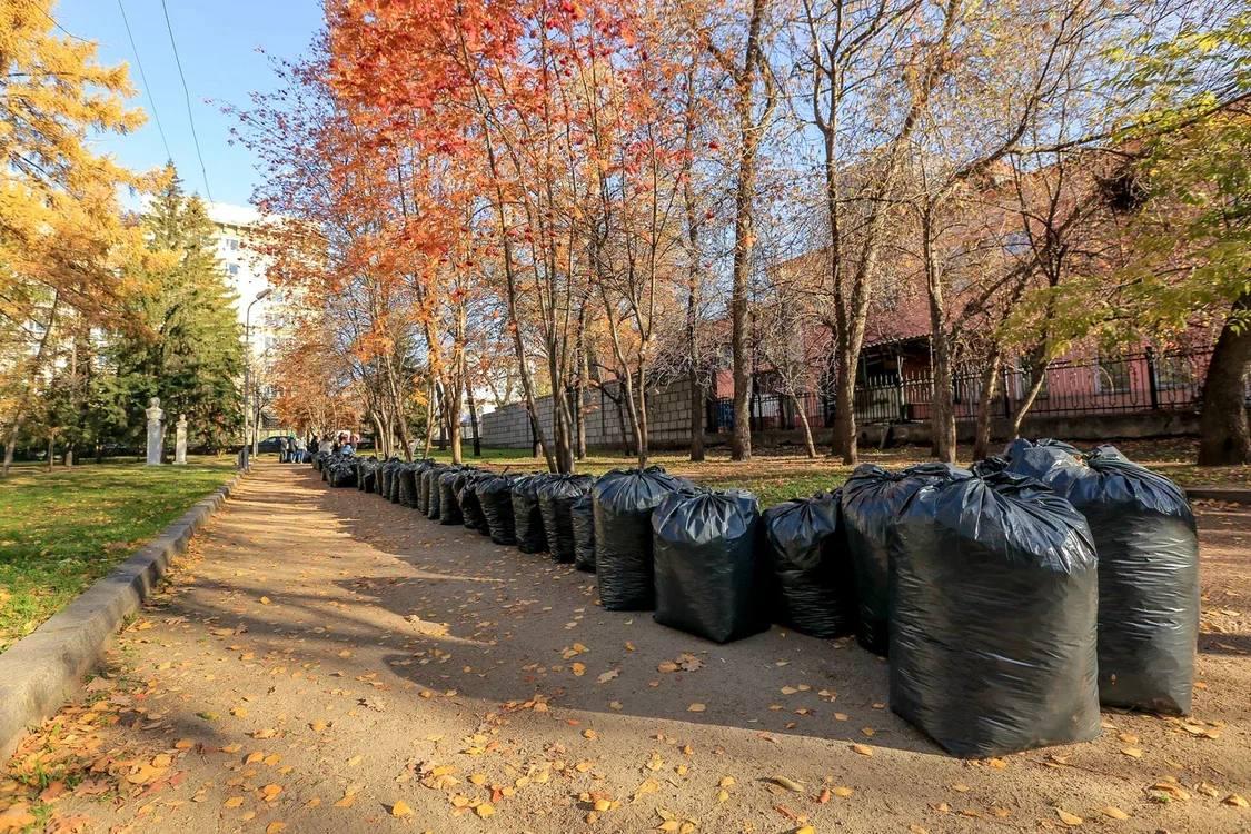 Фото Мэр Новосибирска Анатолий Локоть подмёл центр города – итоги субботника 14 октября 2