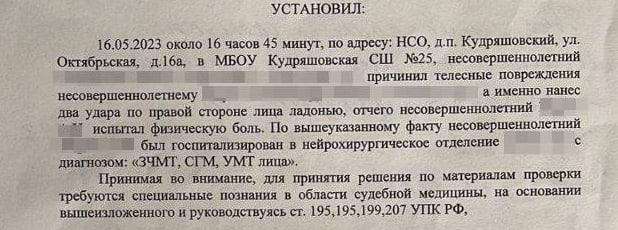 Фото Под Новосибирском каратист терроризирует своих одноклассников — директор школы ничего не помнит 3