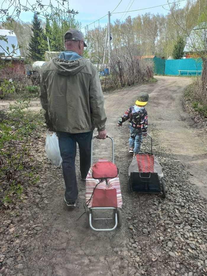 Фото Ангелы хранители. Новосибирцы показали трогательные кадры с бабушками и дедушками в честь праздника 4