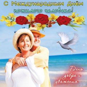 Фото День пожилого человека 1 октября: красивые открытки и поздравления 14