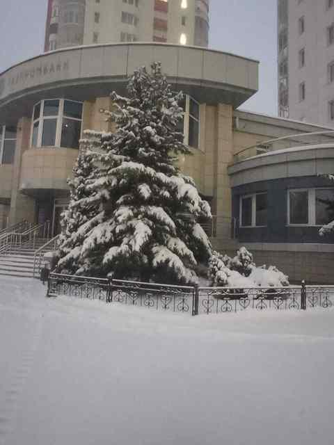 Фото Снежный циклон накрыл Новосибирск утром 9 октября 5 - Сиб.ФМ Фото Снежный циклон накрыл Новосибирск утром 9 октября 5