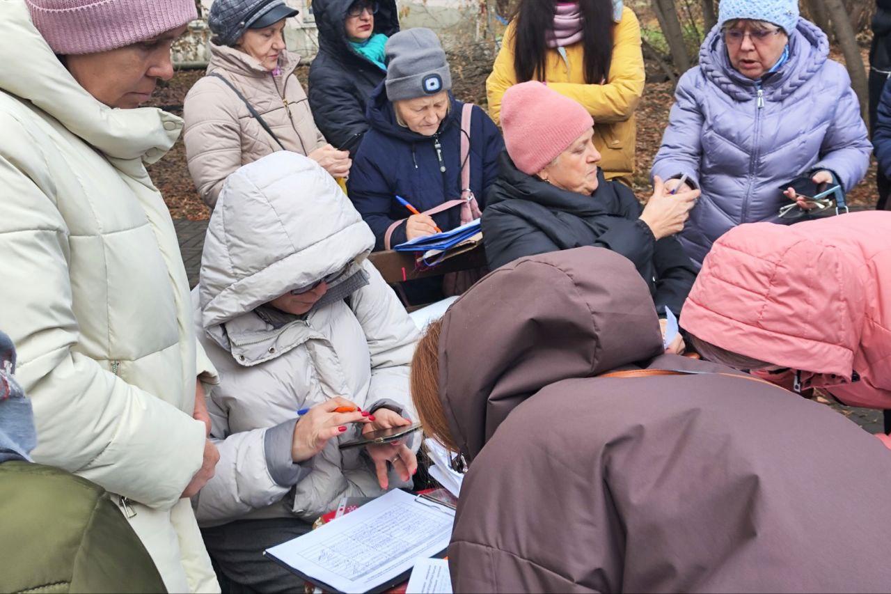 Фото Более 8000 новосибирцев выступили против принятия закона об умерщвлении бездомных животных 2