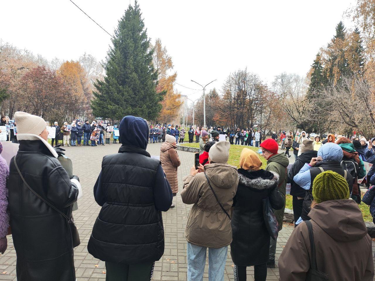 Фото Более 8000 новосибирцев выступили против принятия закона об умерщвлении бездомных животных 5