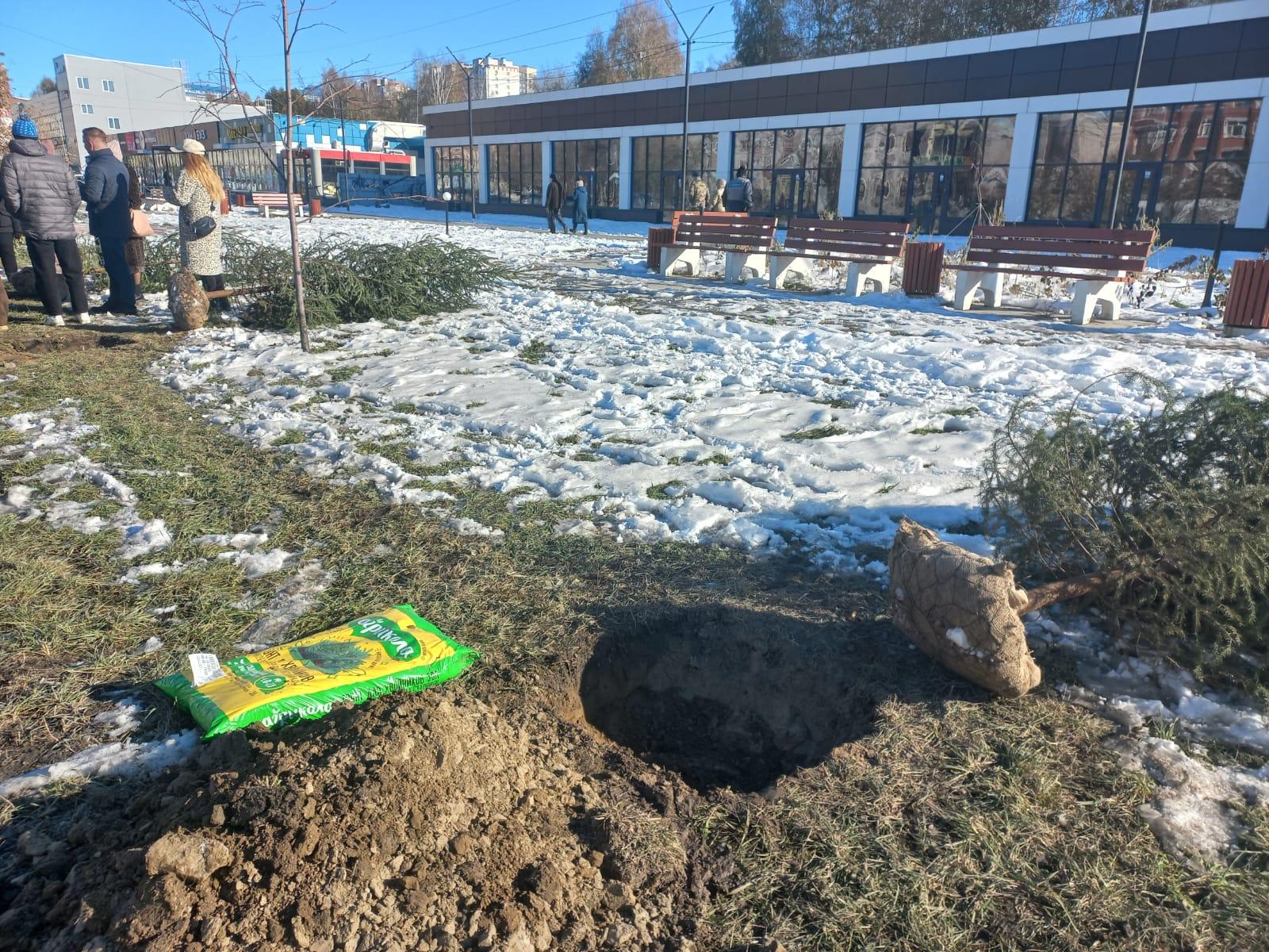 Фото «Нам не хватает зелени» 3 - Сиб.ФМ Фото «Нам не хватает зелени» 3