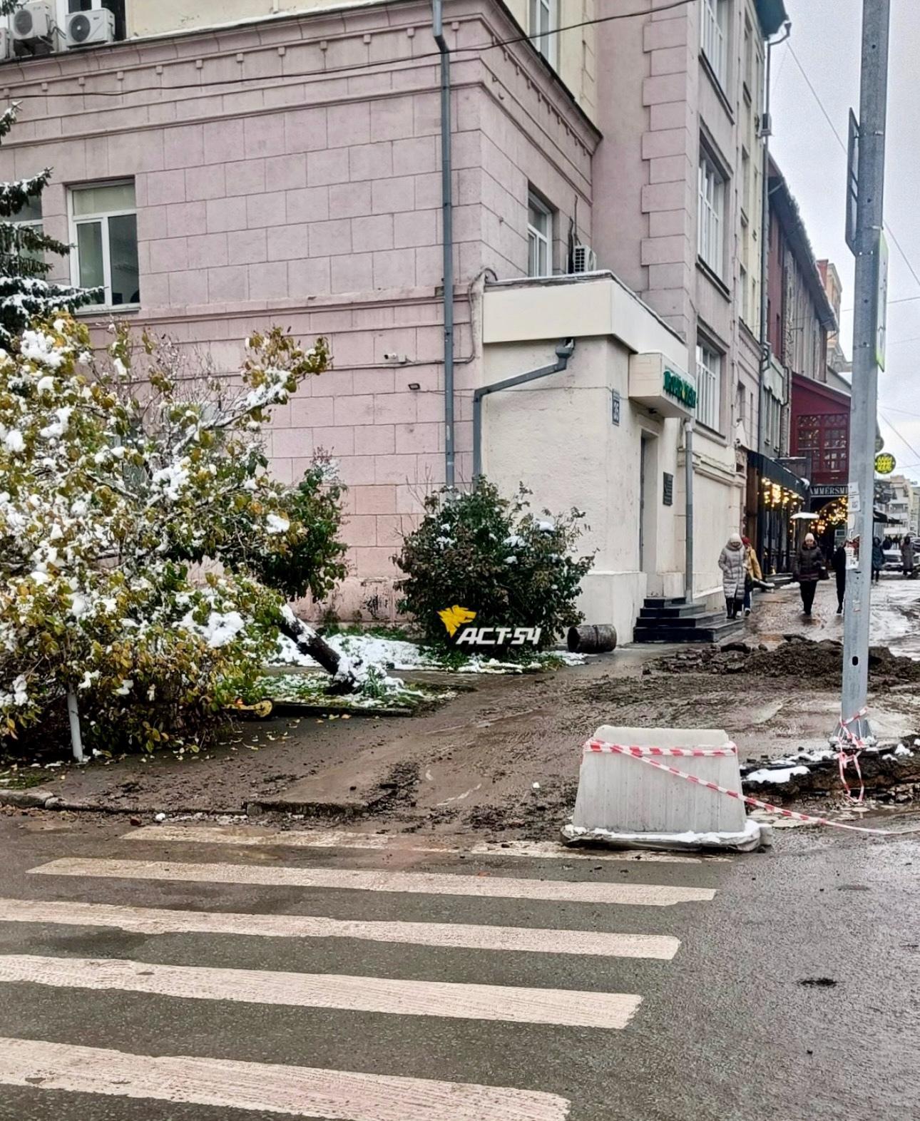 Фото На перекрёстке Красного проспекта и улицы Потанинской в Новосибирске рабочие сломали дерево 2 - Сиб.ФМ Фото На перекрёстке Красного проспекта и улицы Потанинской в Новосибирске рабочие сломали дерево 2